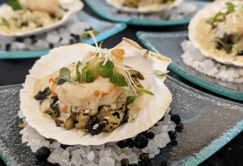 oysters on a shell sitting on rock salt