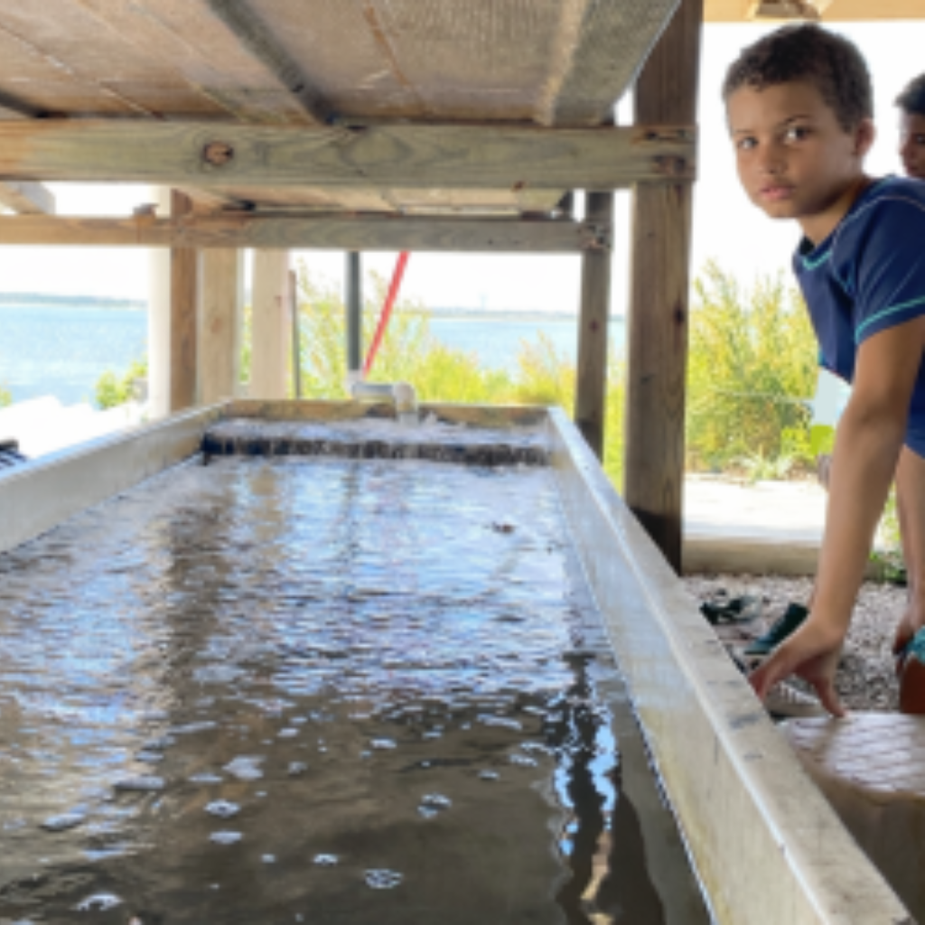 A student leans over a long outdoor water table under a wooden structure, observing the flowing water with a coastal shoreline visible in the background.