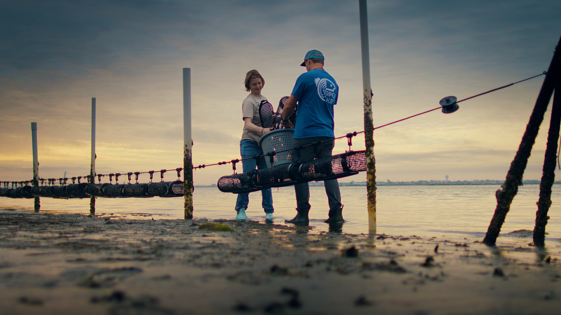 Aquaculture